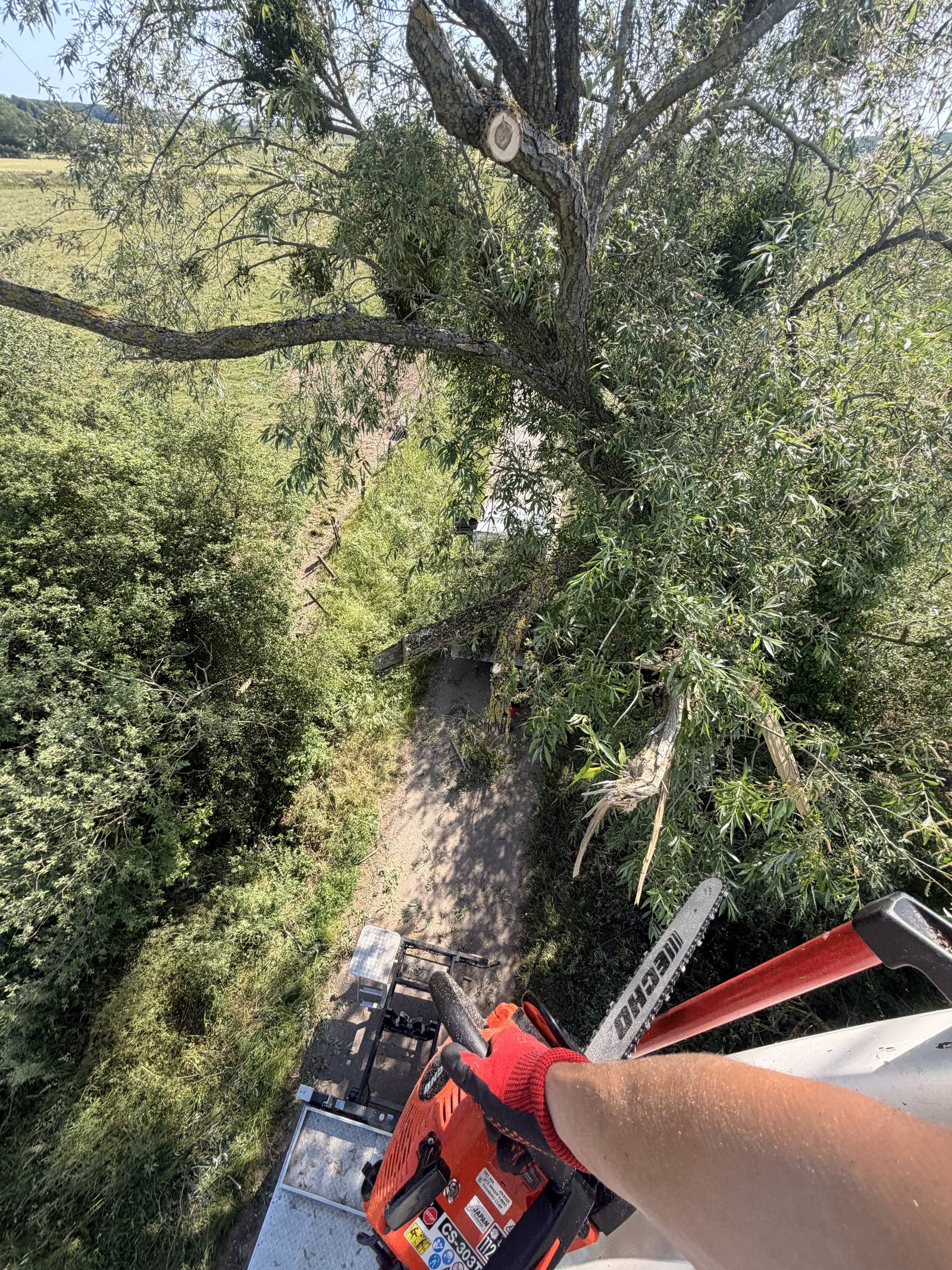 Intervention en hauteur tronçonneuse nacelle