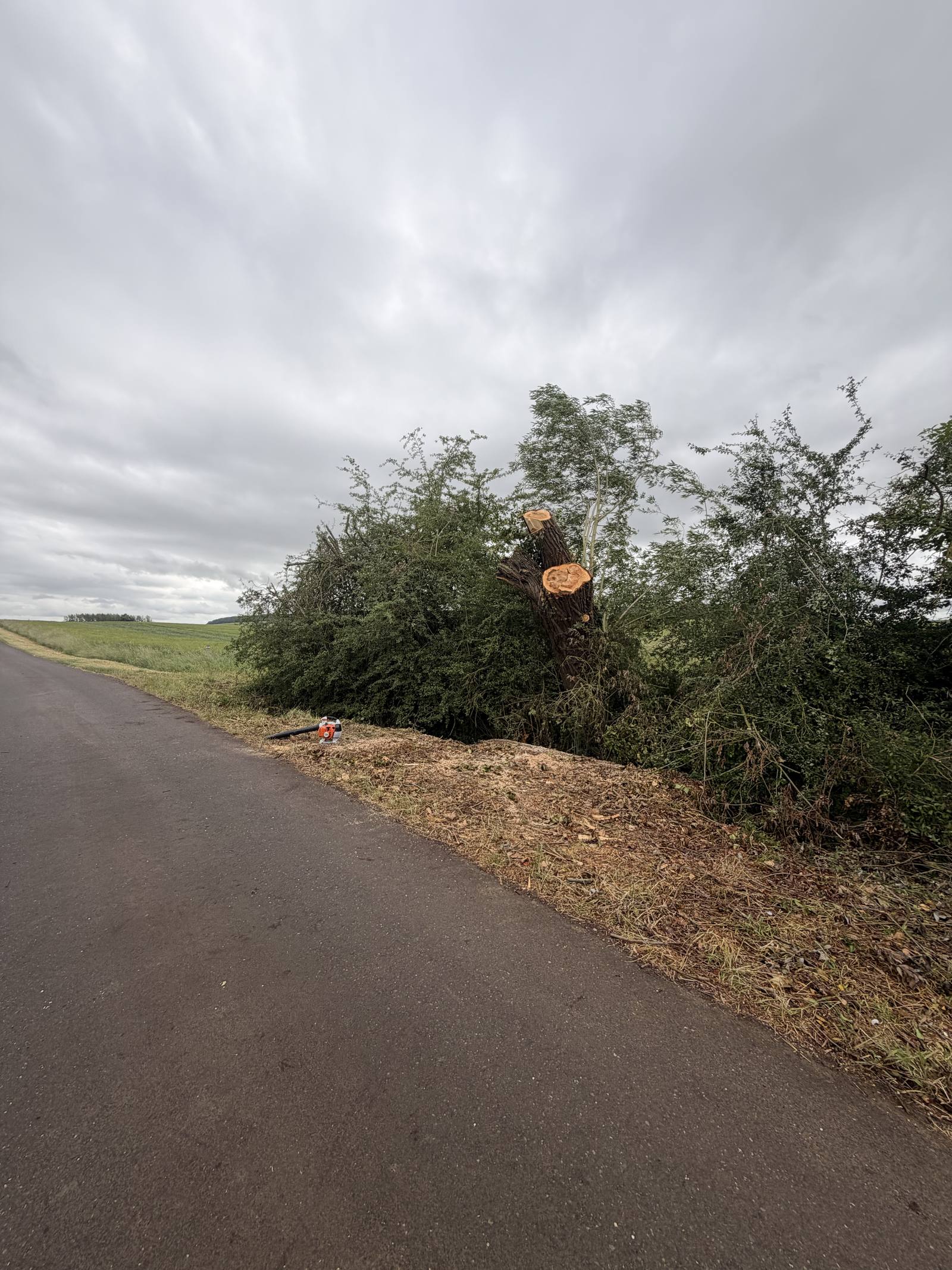 Route dégagée après intervention