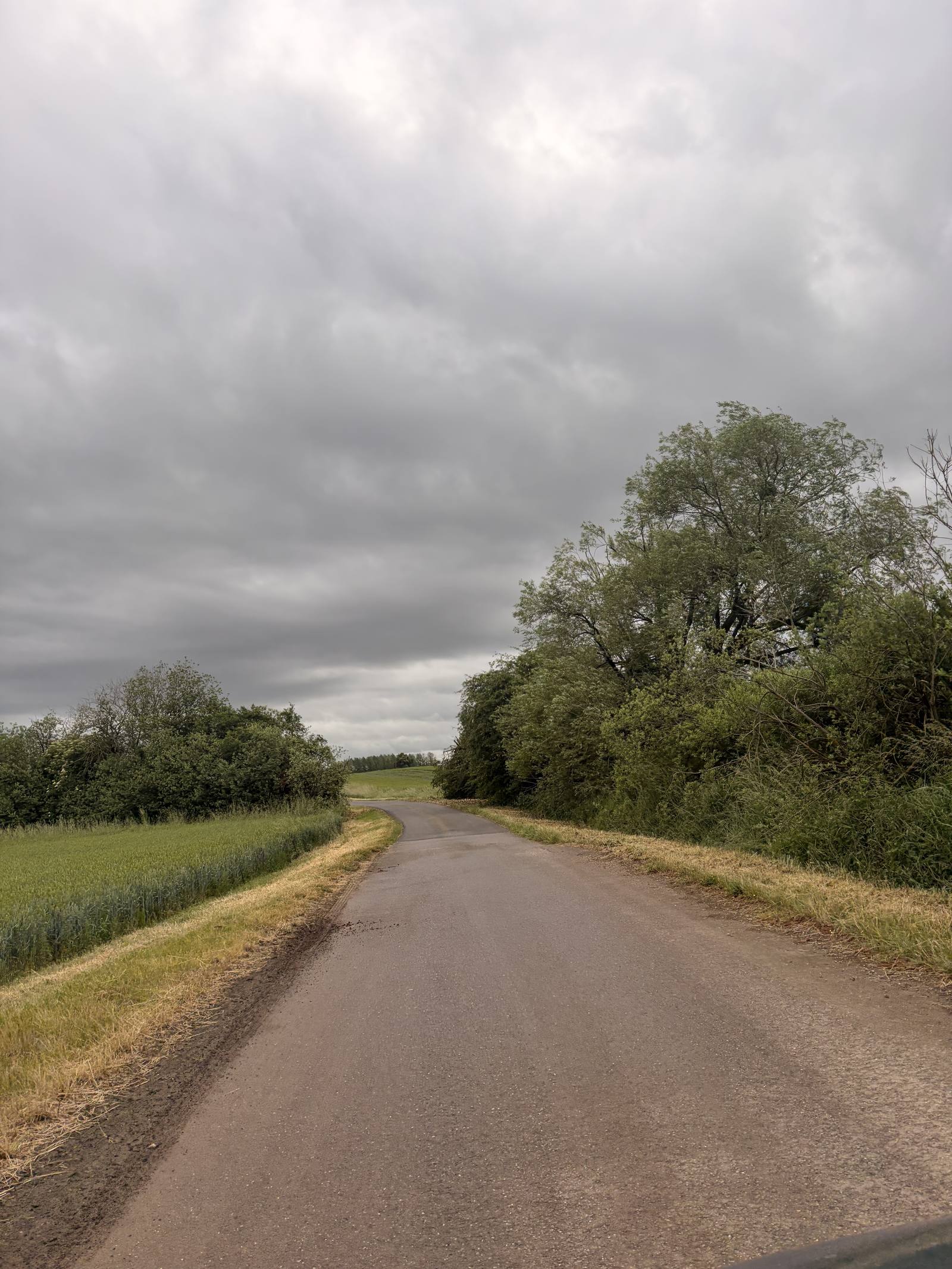 Route sécurisée après abattage