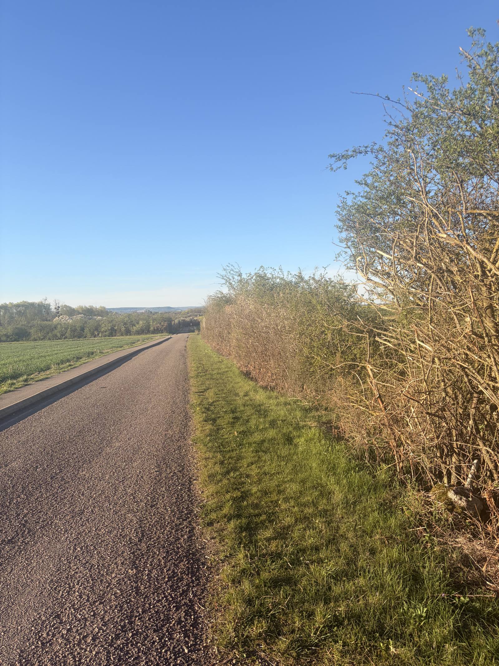 Taille de haies route communale